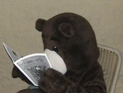 bear_reading_good_news.jpg